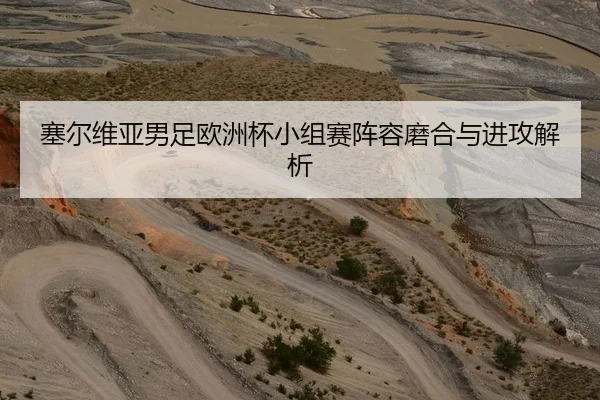 塞尔维亚男足欧洲杯小组赛阵容磨合与进攻解析